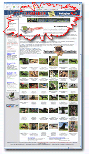 Advertise your banner here