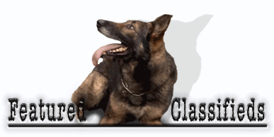 Featured K-9 Listings.