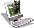 Working Dogs Online