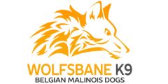 Wolfsbane K9 Belgian Malinois Dogs